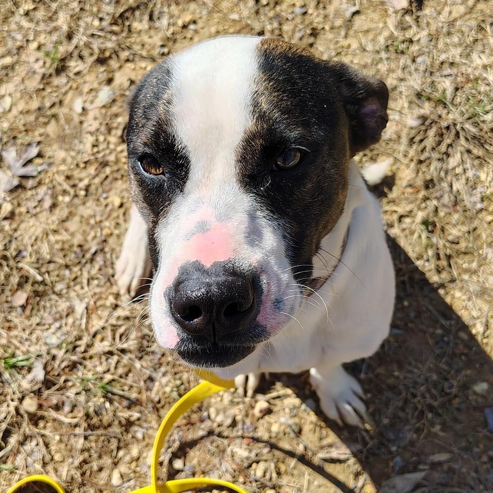 Riley — thumbnail 5