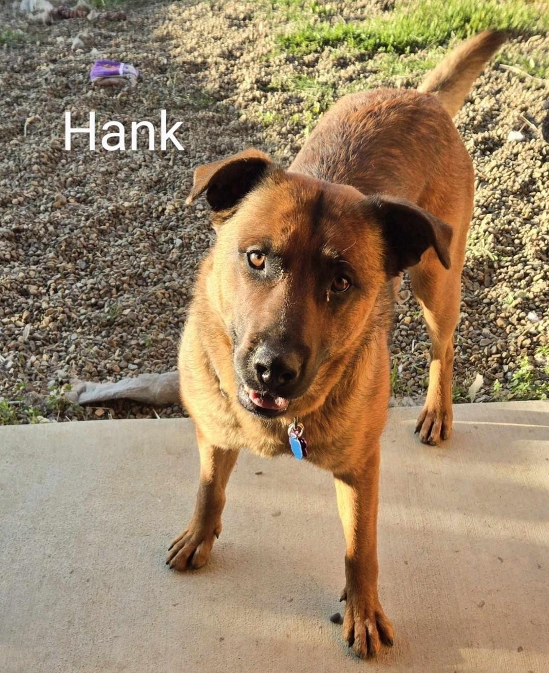 Hank