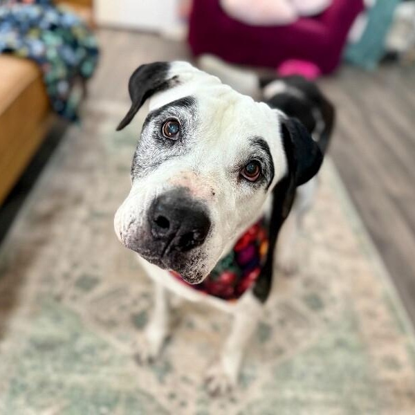 Frida Golden Girl Glow — thumbnail 3