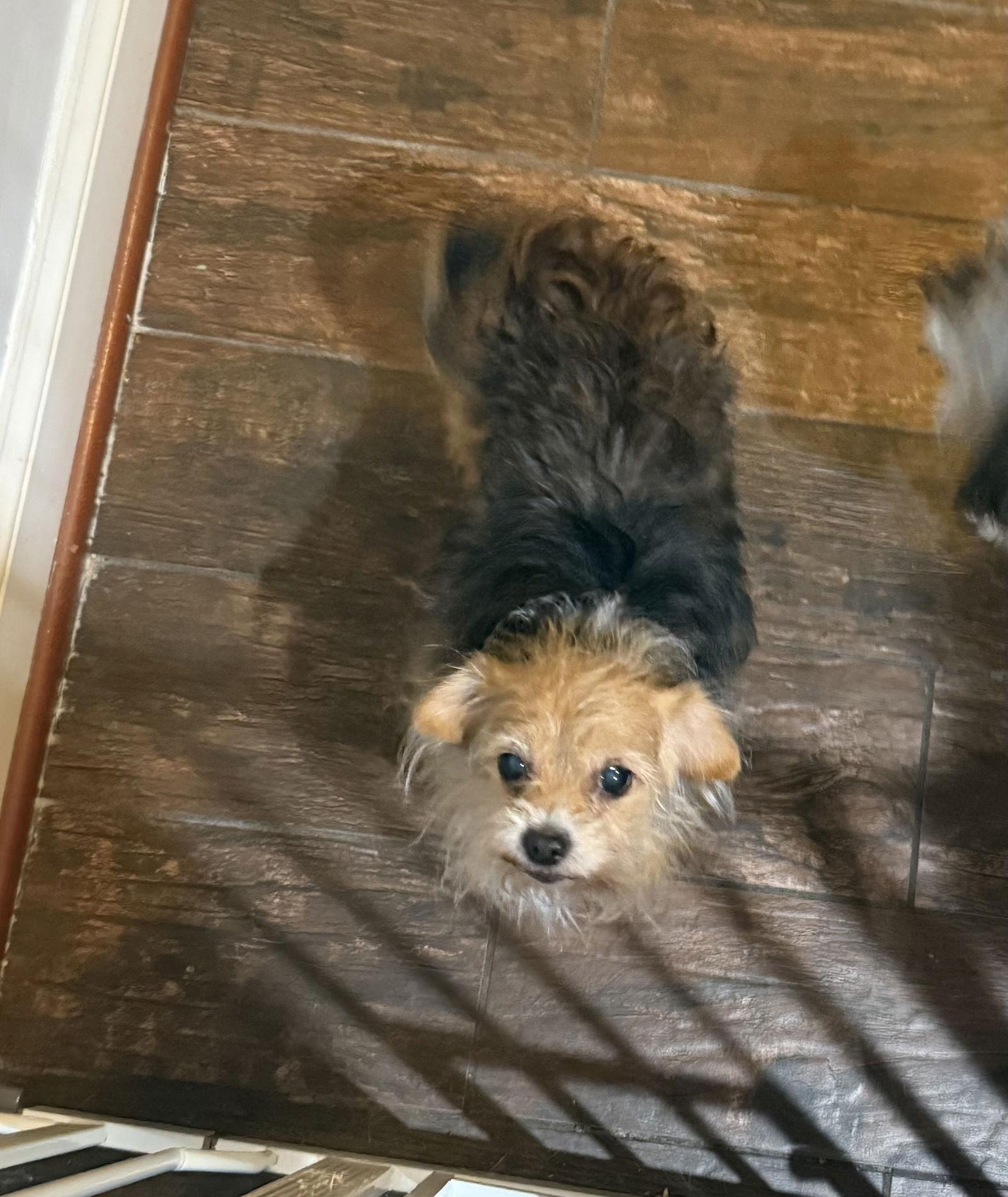 Sallybonded thumbnail 3