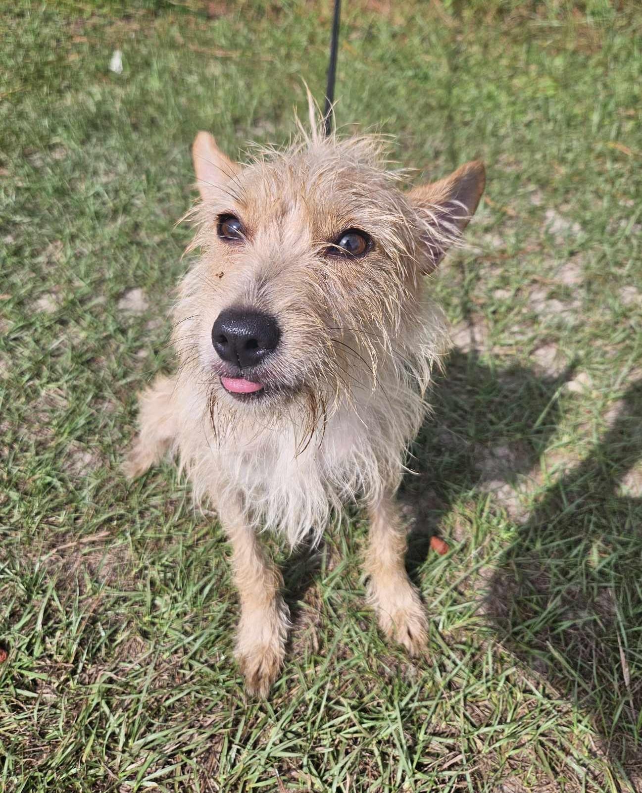 Maggie photo 4