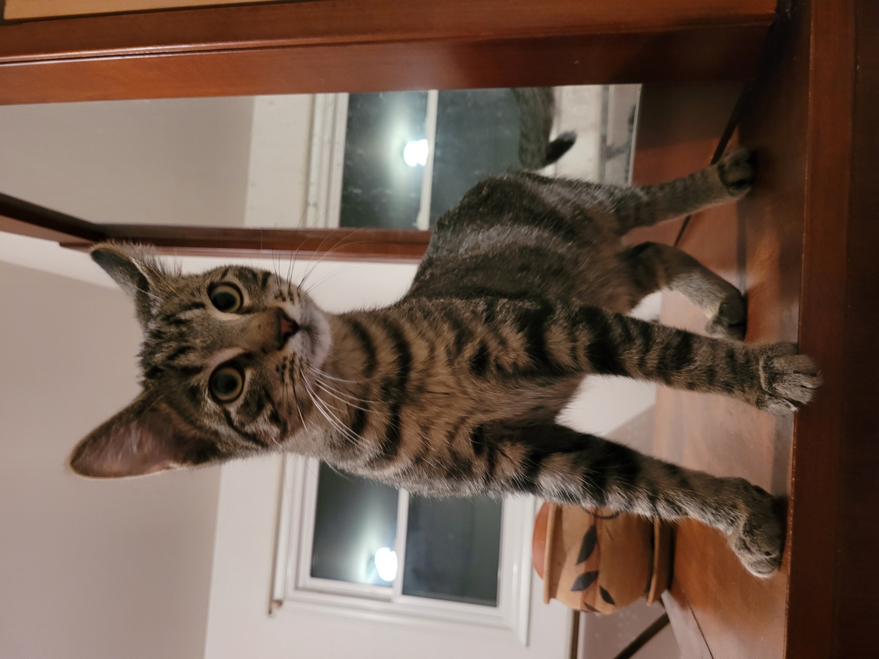 Willie photo 4