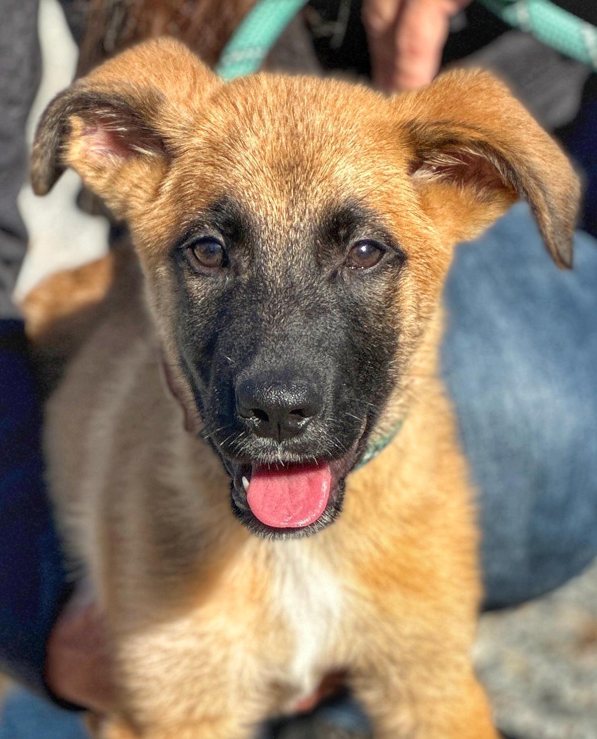 Roscoe
