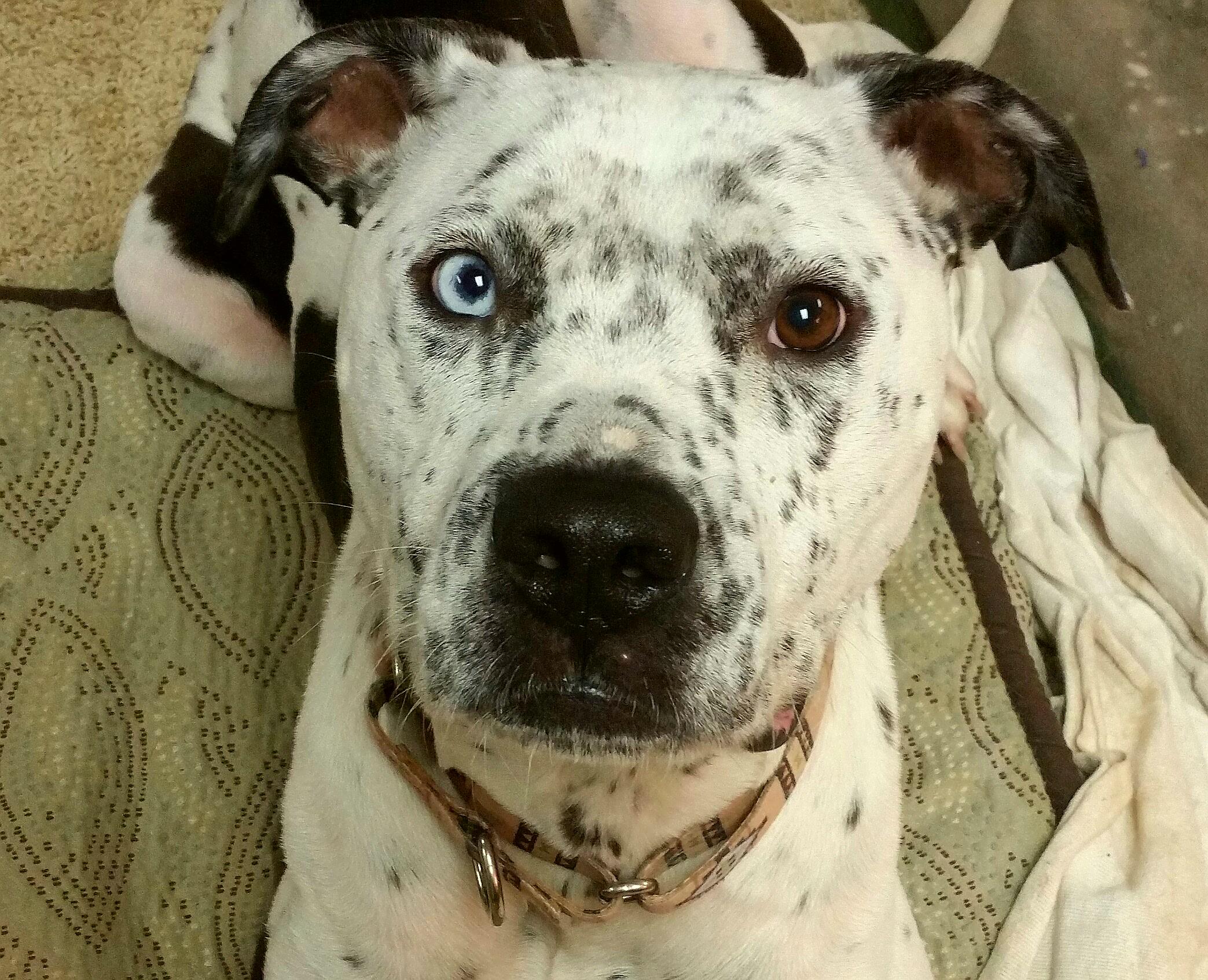 Frankie photo 1