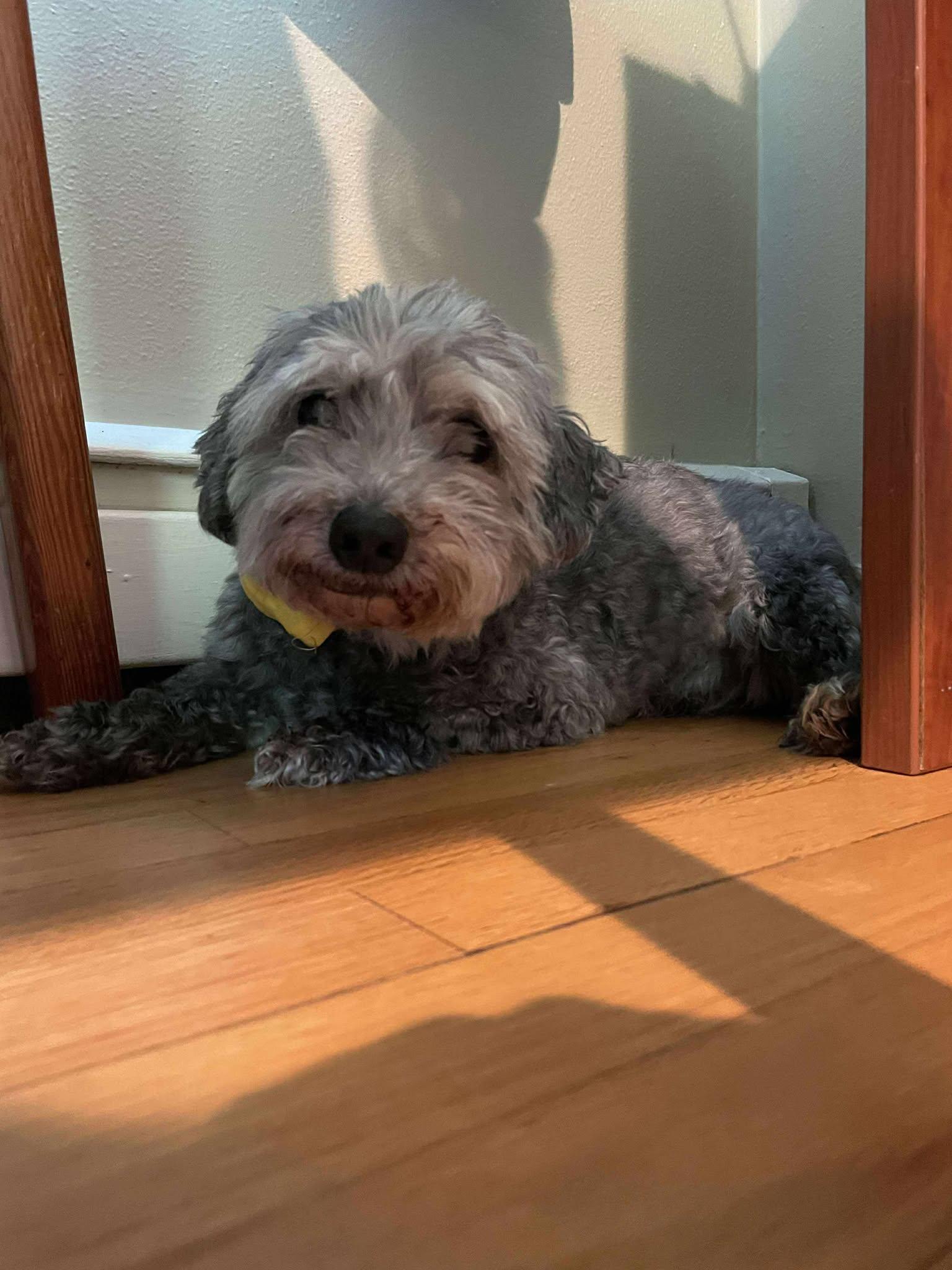 Jack, Senior Male unknown