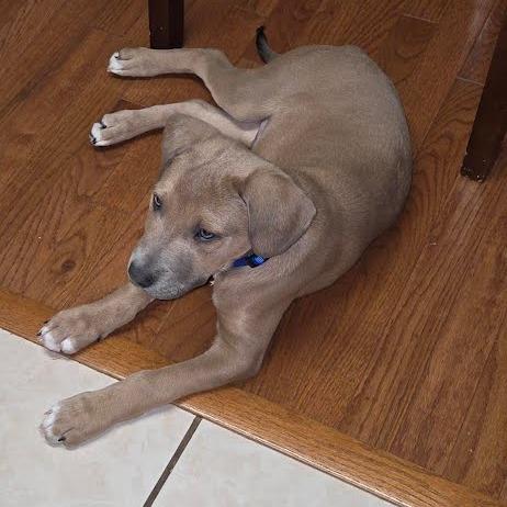 Kenickie thumbnail 2