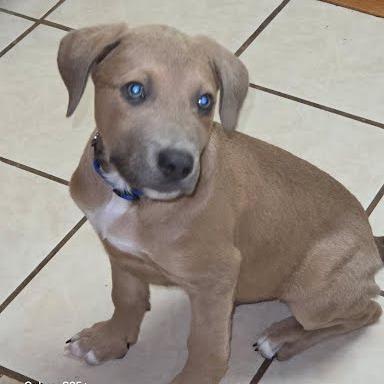 Kenickie thumbnail 3