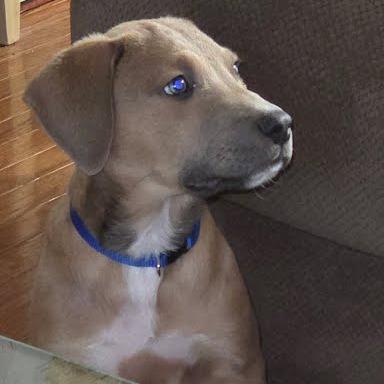 Kenickie thumbnail 5