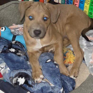 Kenickie thumbnail 6