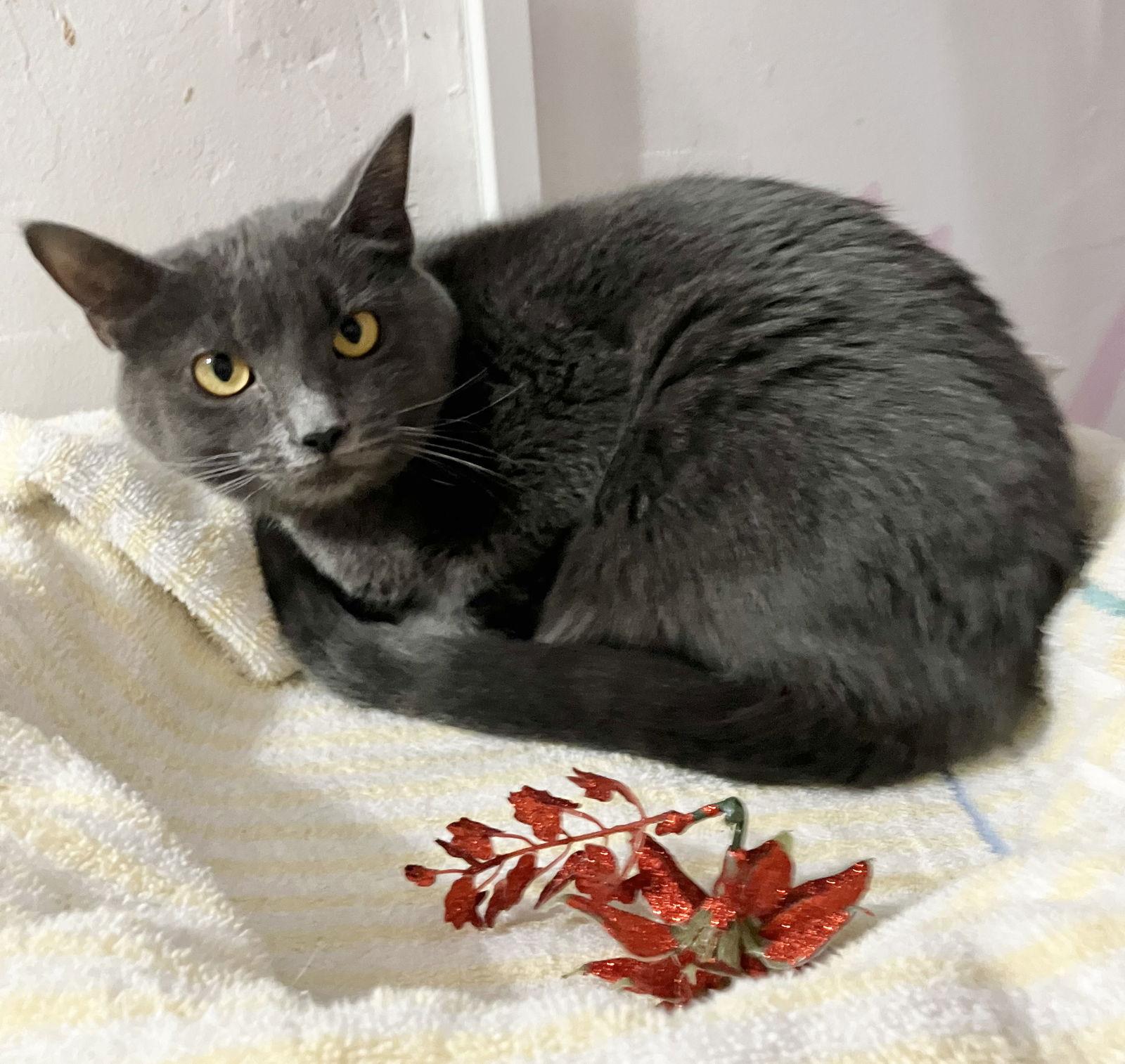 Tully — thumbnail 2