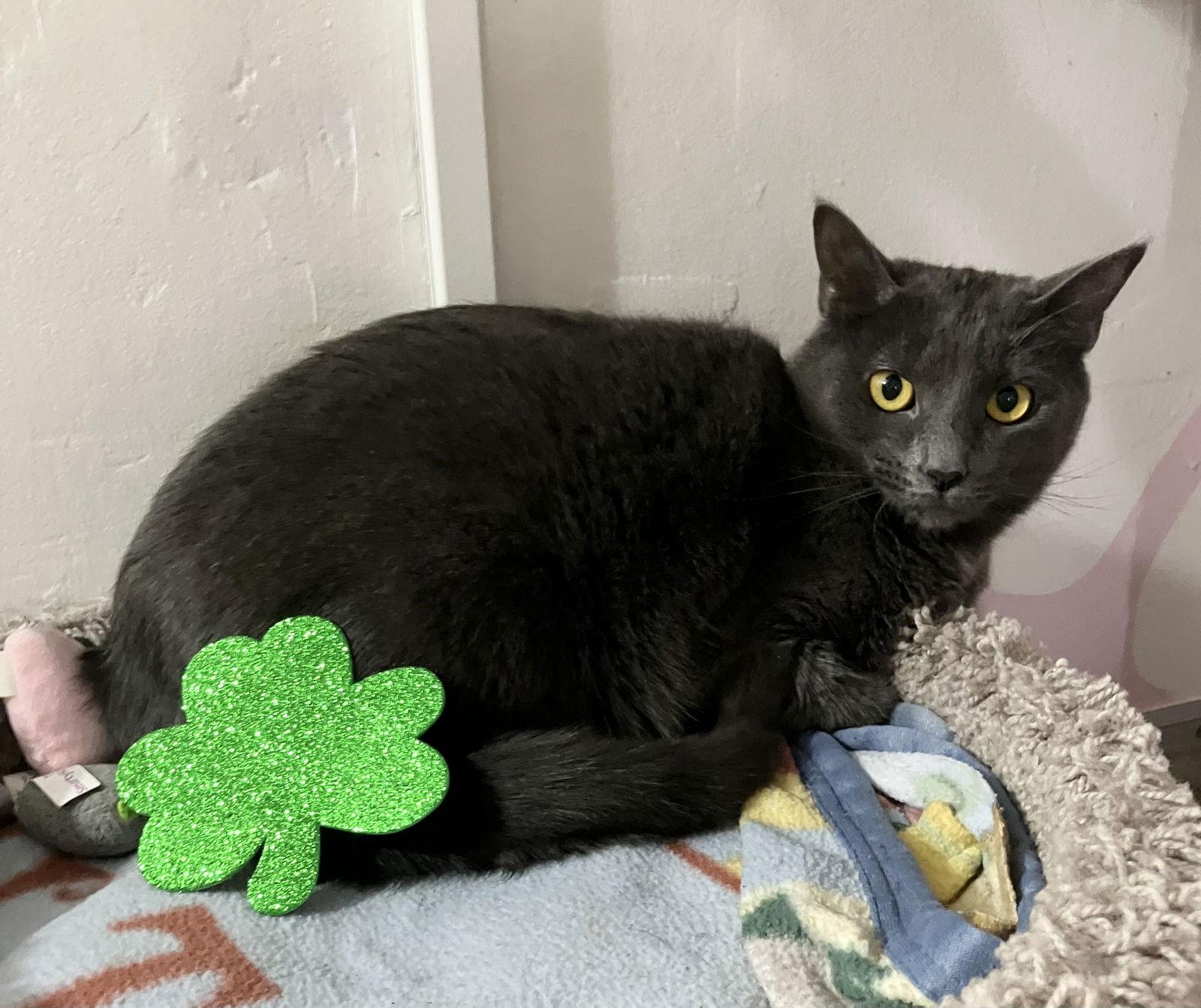 Tully — thumbnail 3