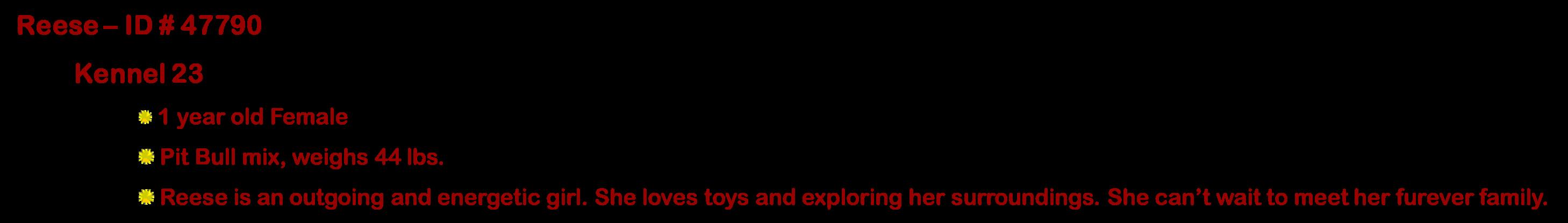 Enlarge Aurora, a ADOPTABLE mixed breed in Suffolk, VA image 3/6