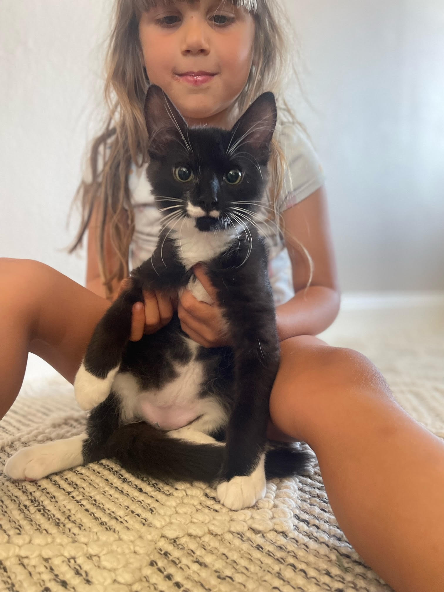 Rascal