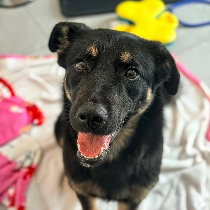 Livey (20260211-05) — thumbnail 2