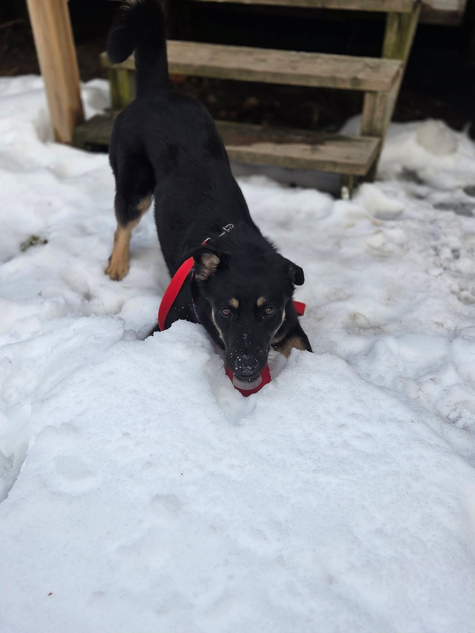 Livey (20260211-05) — thumbnail 3