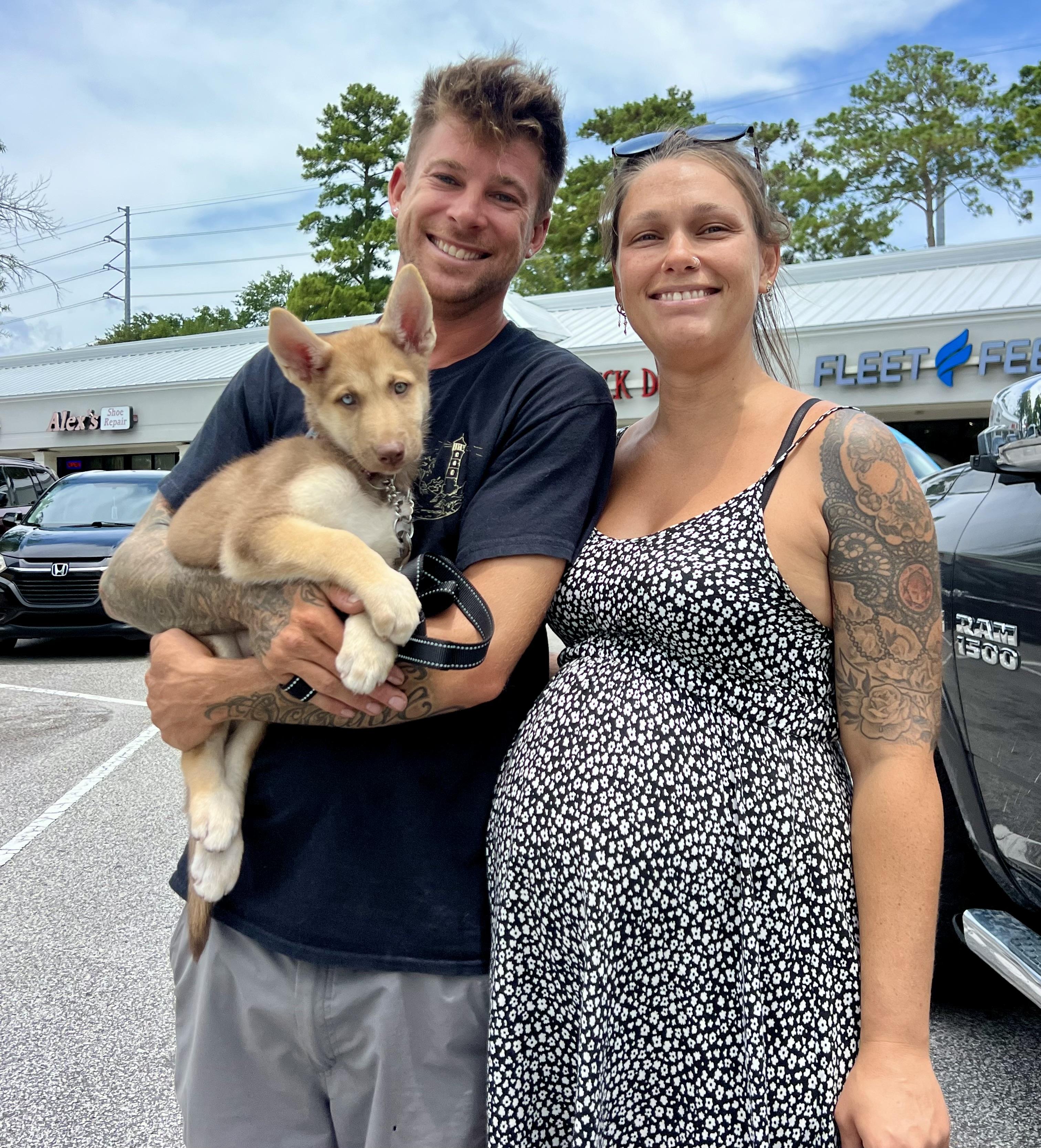 Mellow, an adopted mixed breed in Mt Pleasant, SC image 6/6