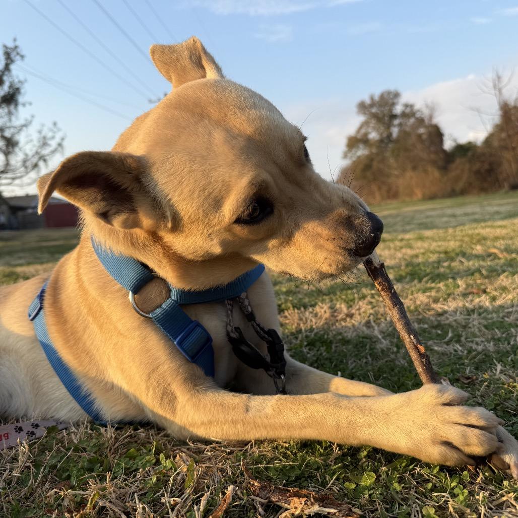 Frank — thumbnail 2