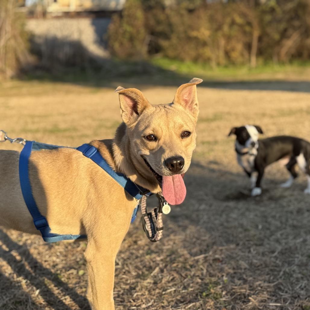 Frank — thumbnail 3