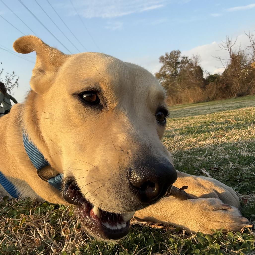 Frank — thumbnail 4