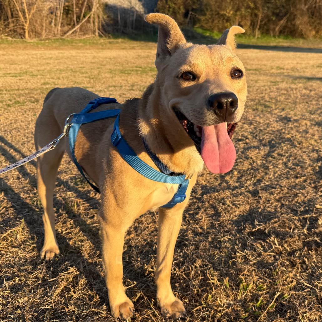 Frank — thumbnail 5