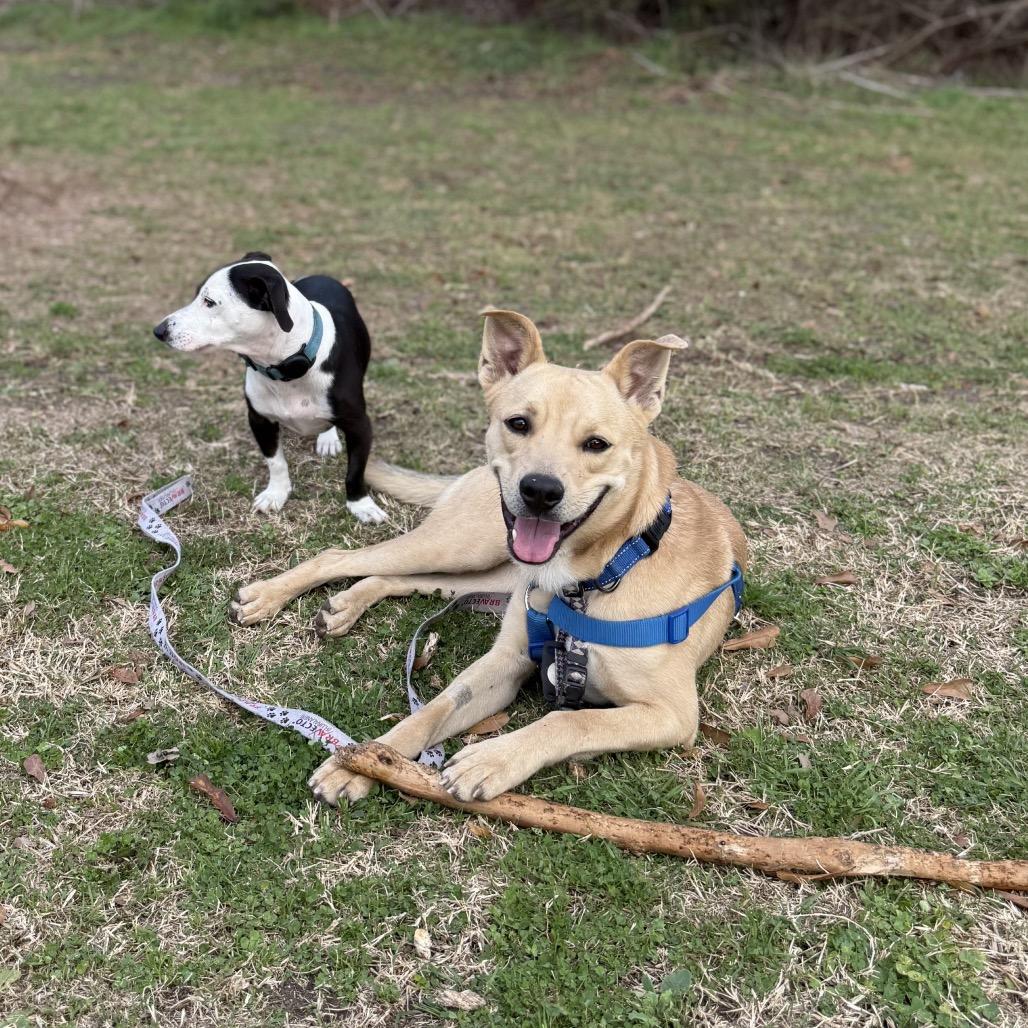 Frank — thumbnail 6