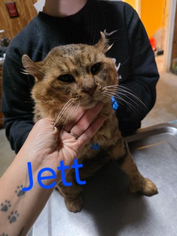 Jett