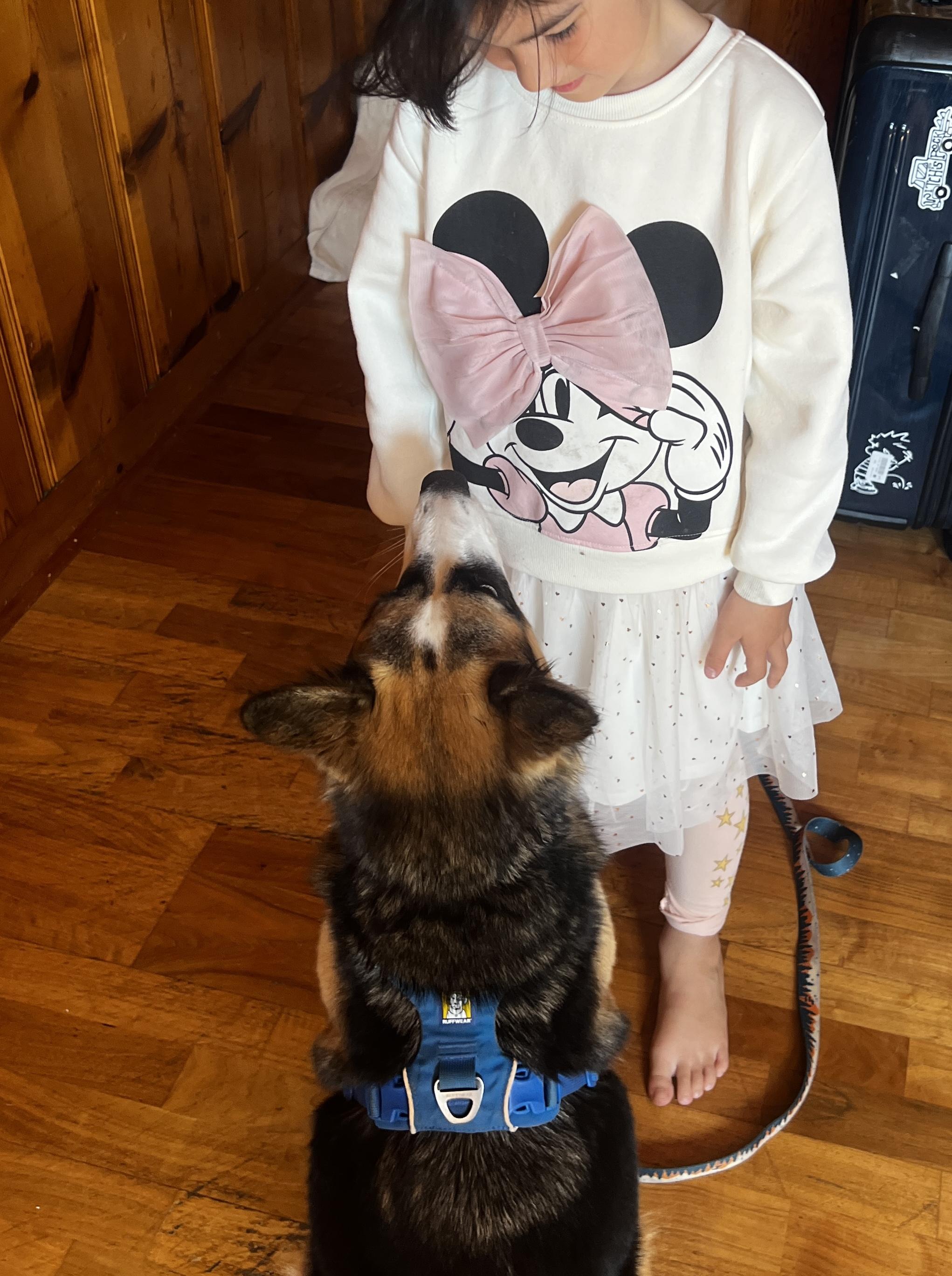 Peanut, a Adopted mixed breed in San Francisco, CA image 6/6