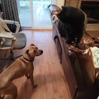 Arlo photo 2