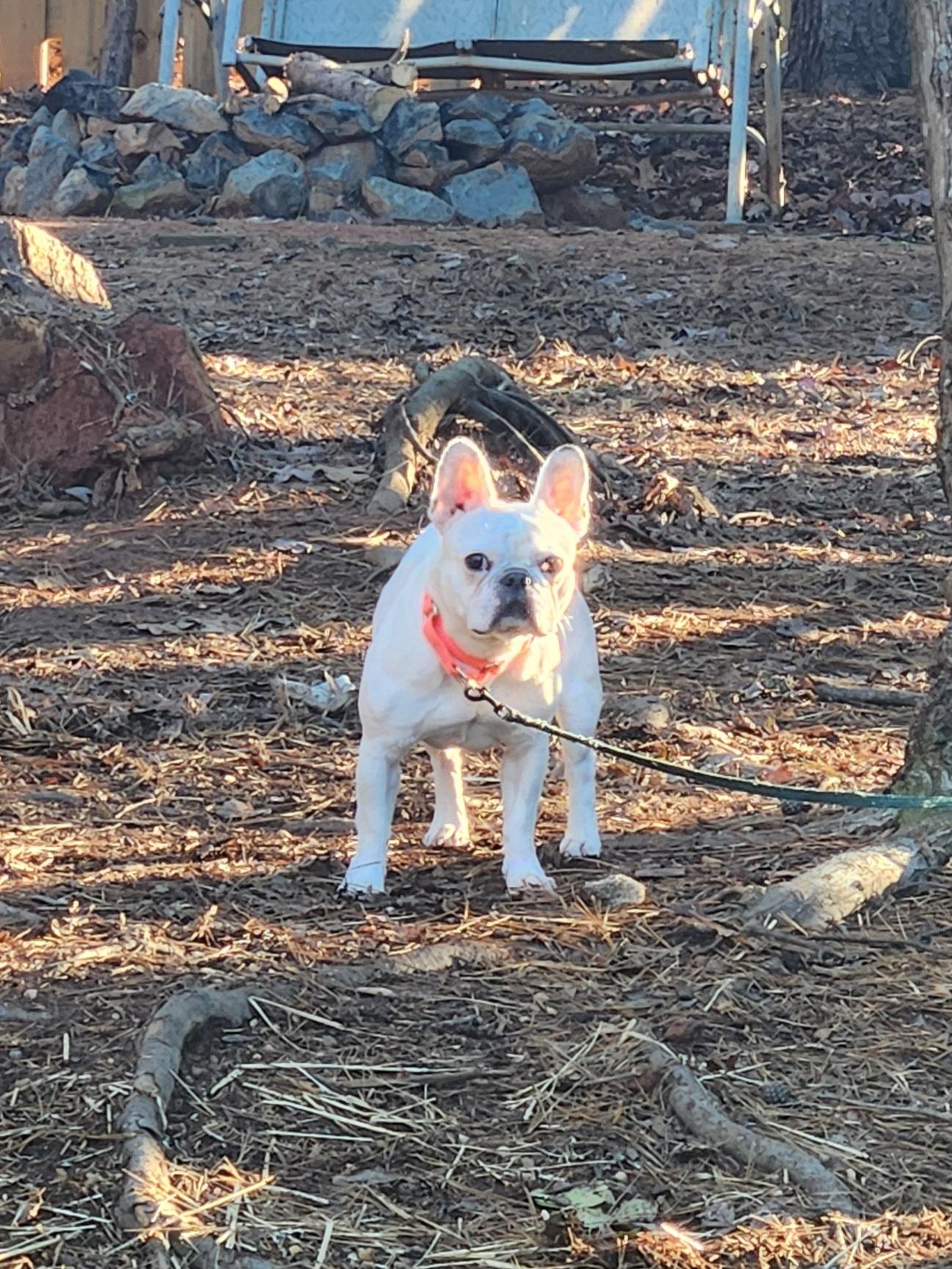 Lily Jane thumbnail 2