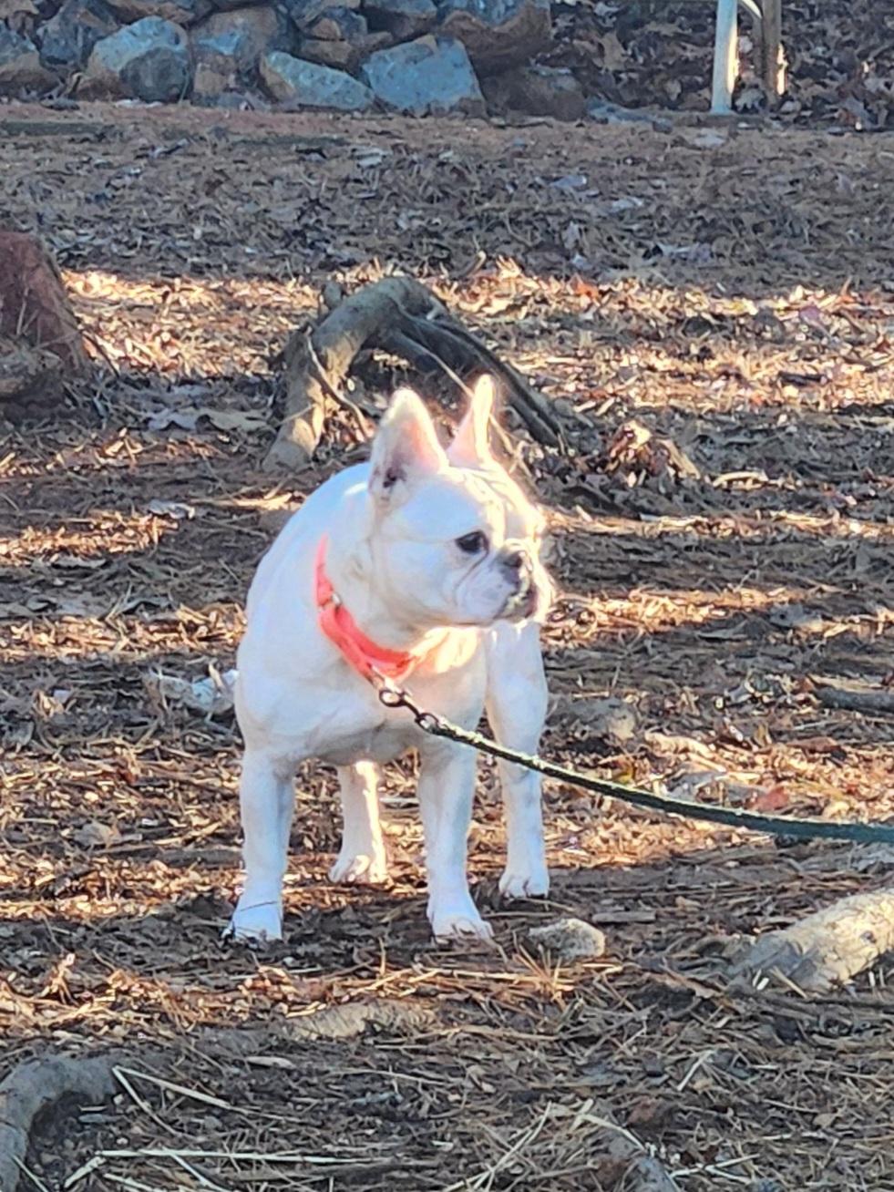 Lily Jane thumbnail 3