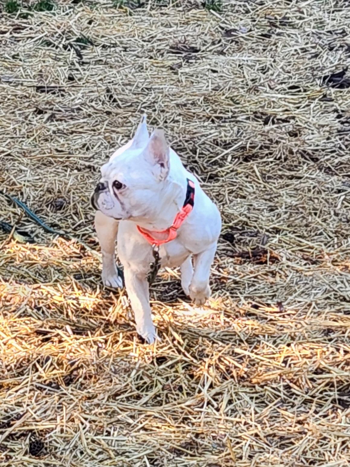 Lily Jane thumbnail 4