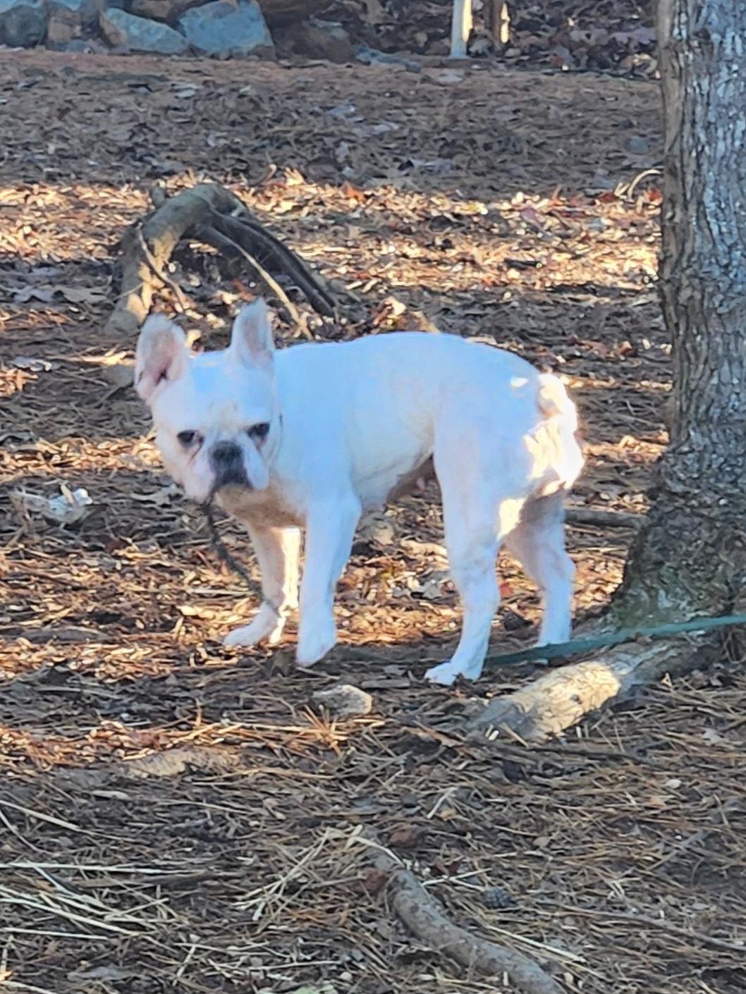 Lily Jane thumbnail 5