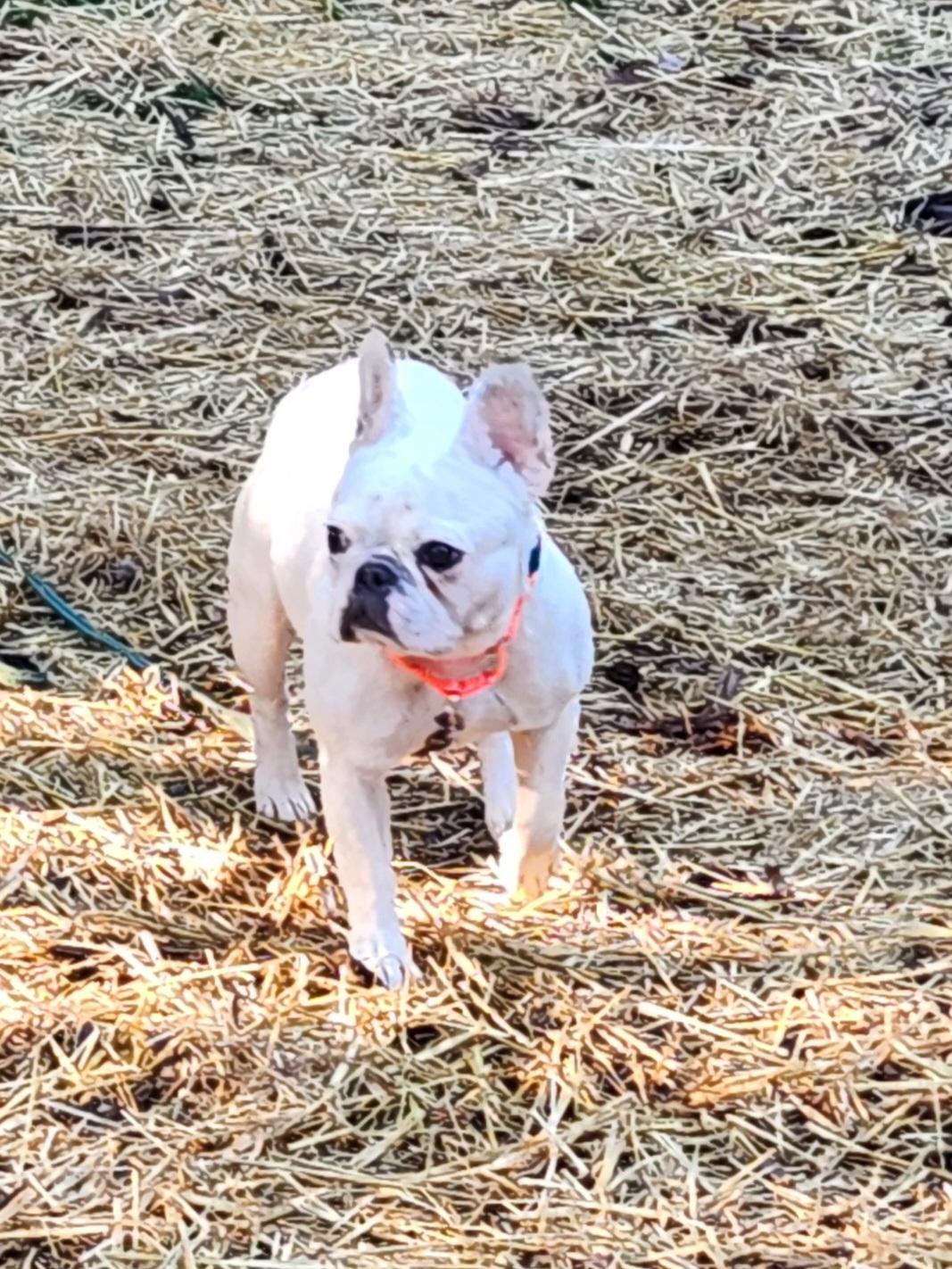 Lily Jane thumbnail 6