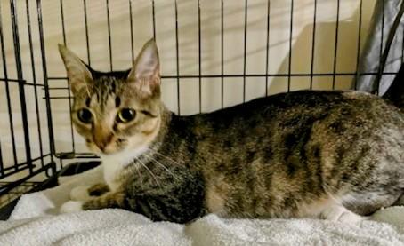 Edward - adopt with Hilary