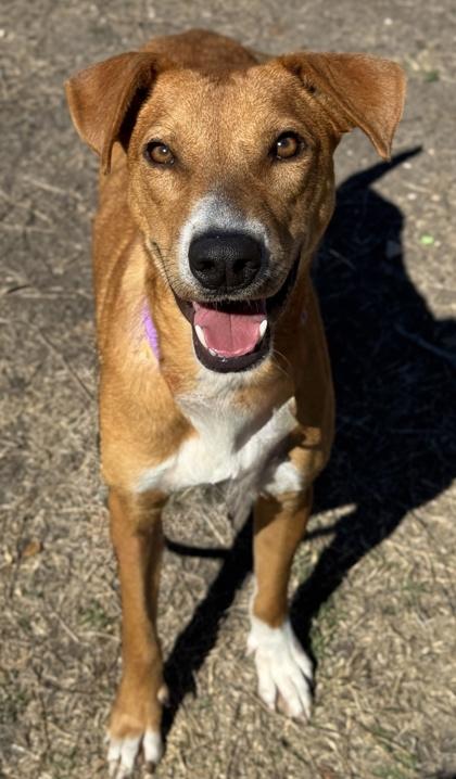 Billie Jean — thumbnail 2