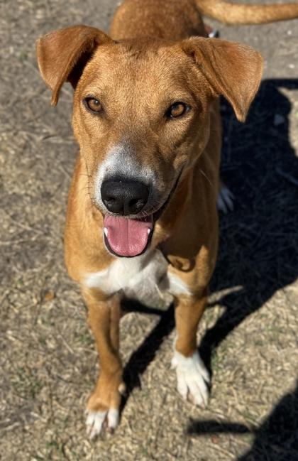 Billie Jean — thumbnail 3