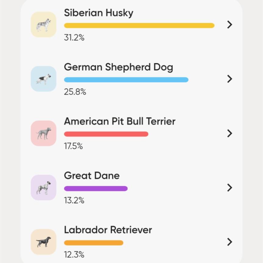 Dragonfly — thumbnail 3