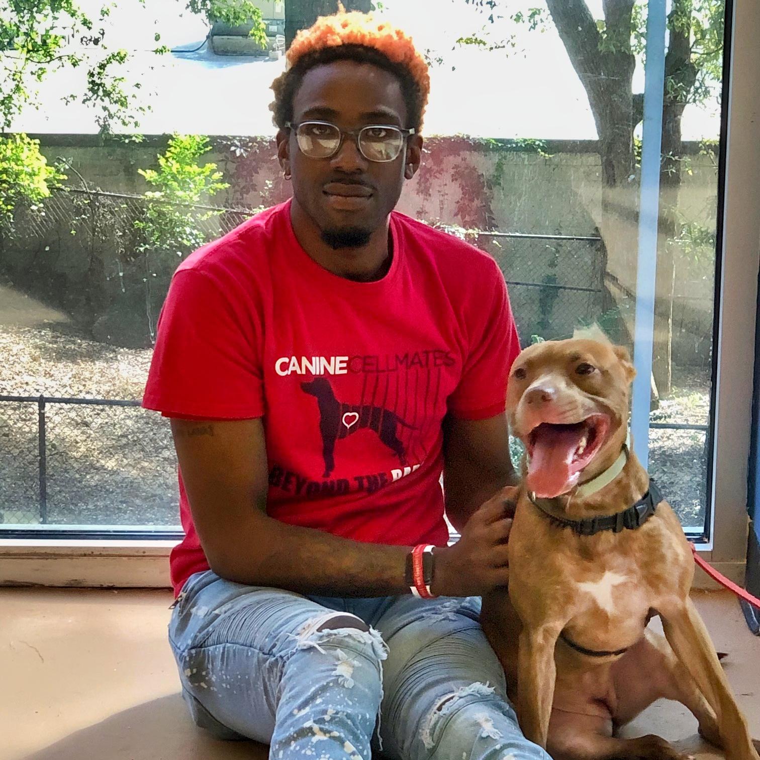 Enlarge Zara, a Adoptable mixed breed in Atlanta, GA image 3/3