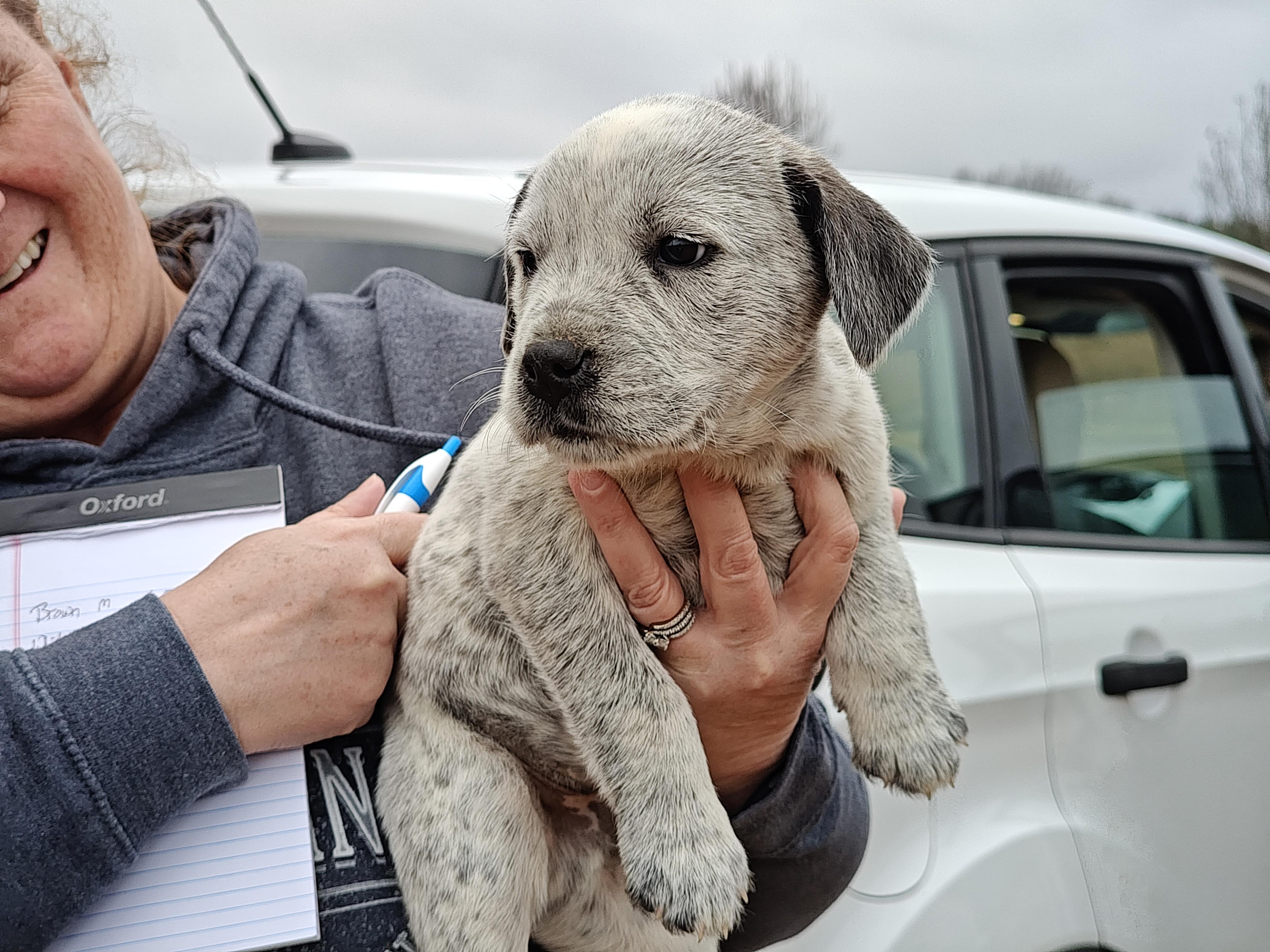 J.T. Olympians — thumbnail 3