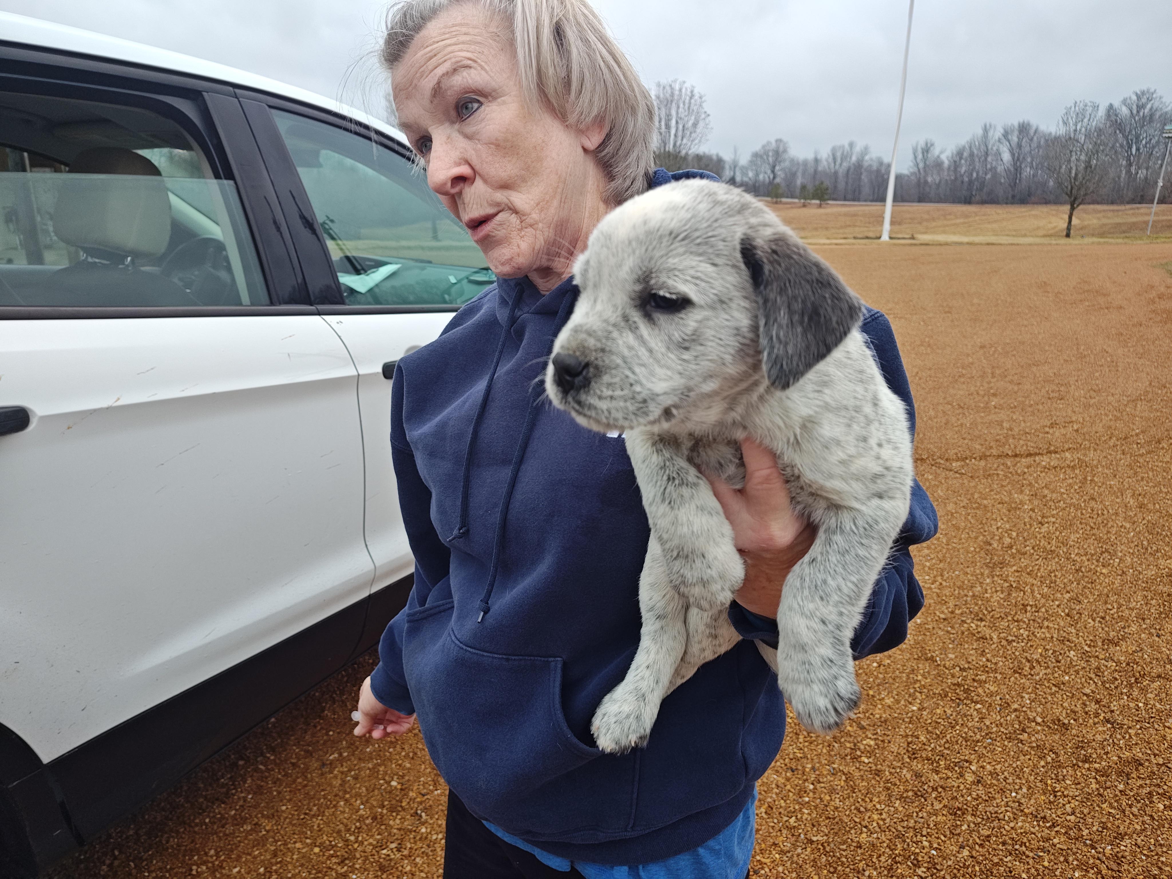 J.T. Olympians — thumbnail 4