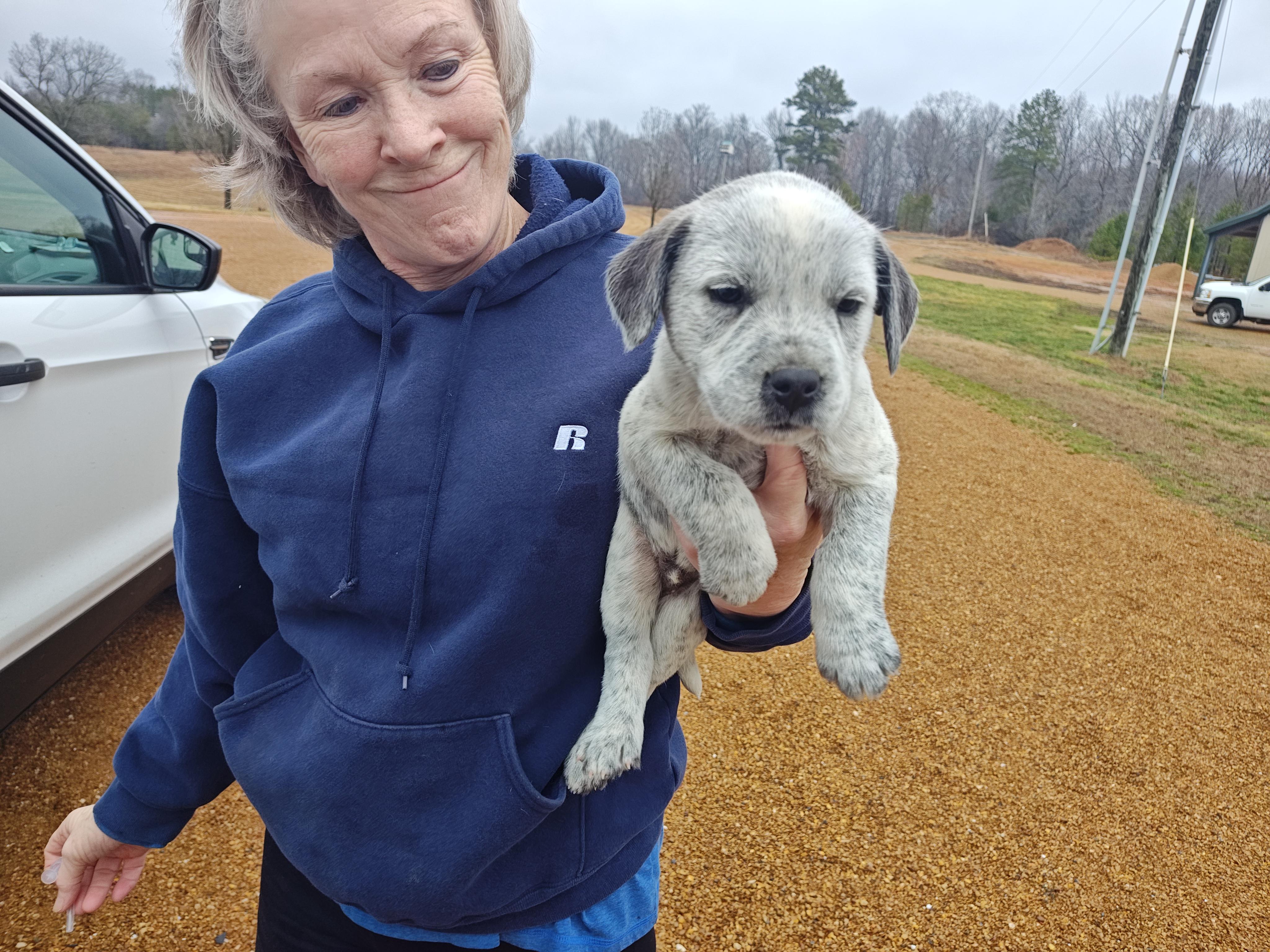 J.T. Olympians — thumbnail 5