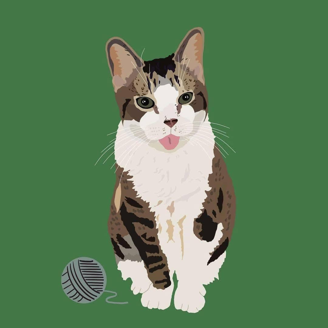 Kissy Suzuki - Purrmanent Resident/Special Needs