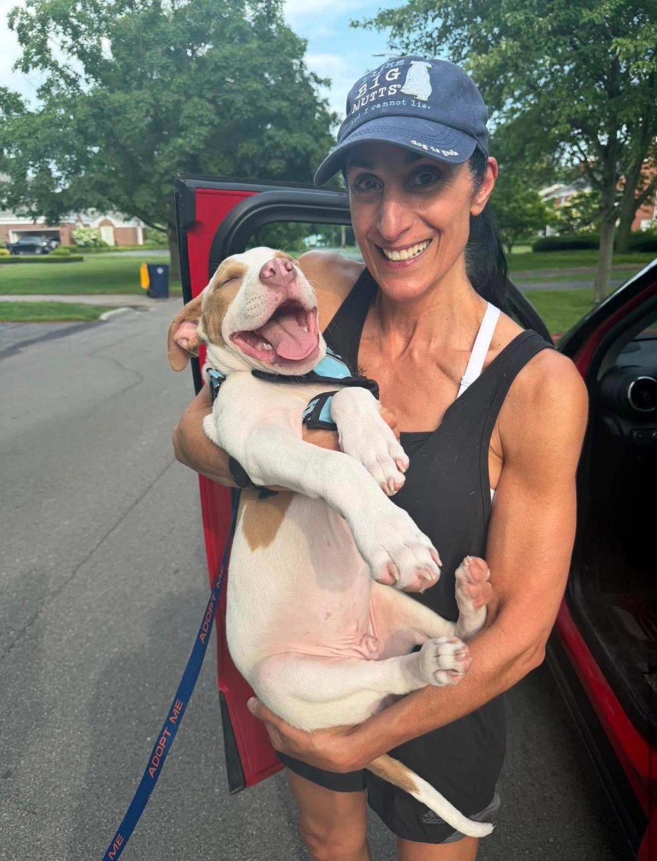 Baxter, a ADOPTABLE mixed breed in Pleasant Ridge, MI image 2/5