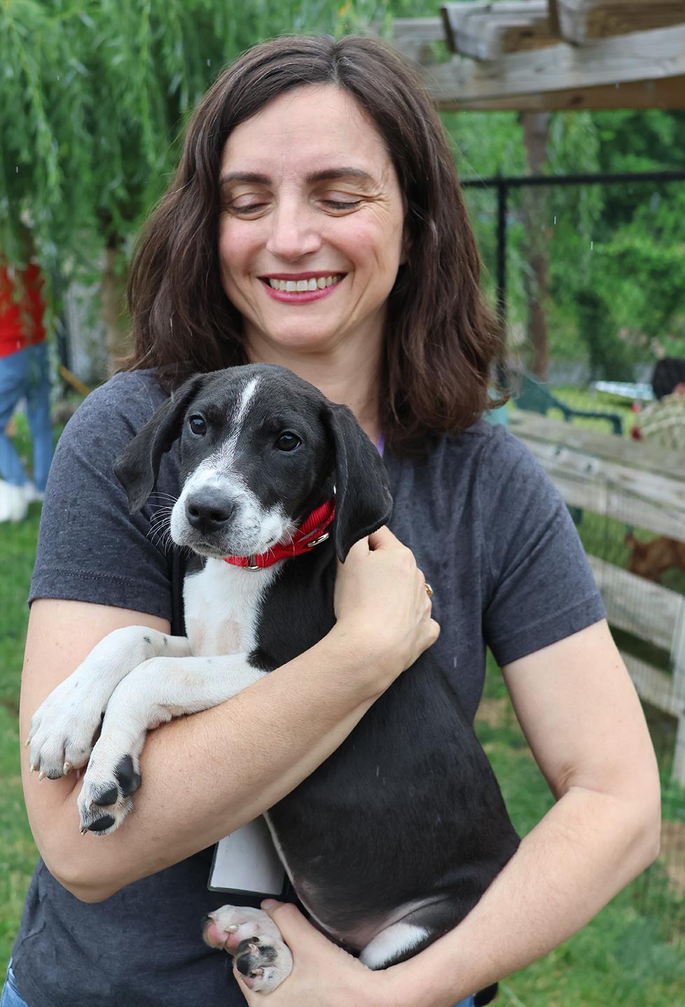 Rosie, an adopted mixed breed in Harrison, NY image 5/6