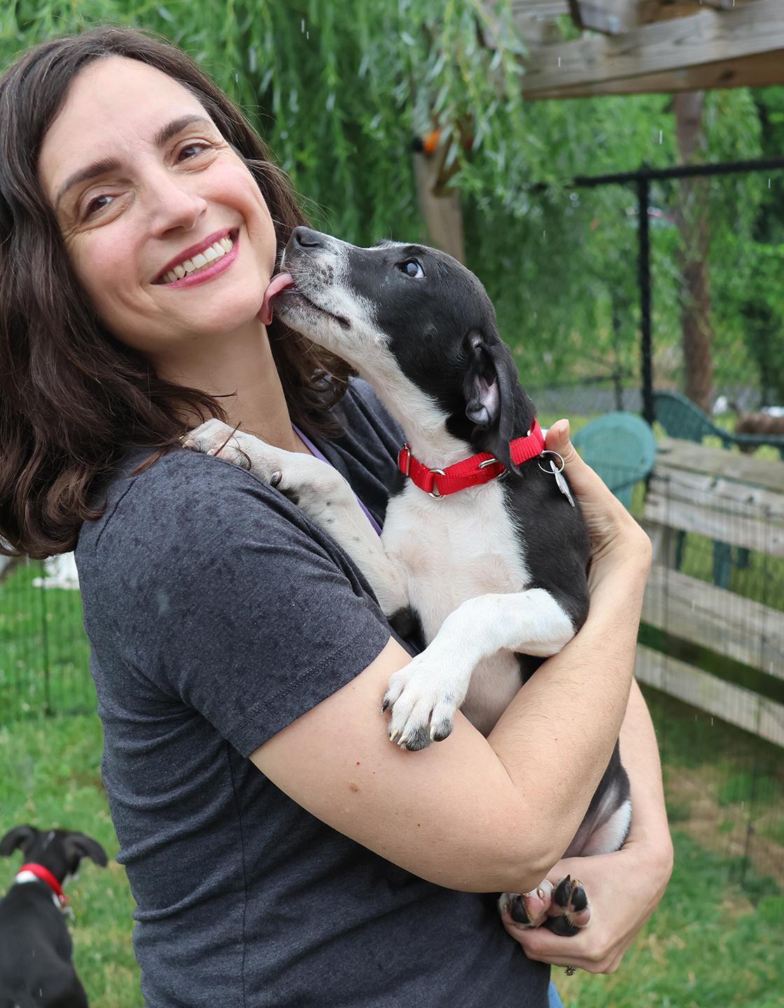 Rosie, an adopted mixed breed in Harrison, NY image 2/6