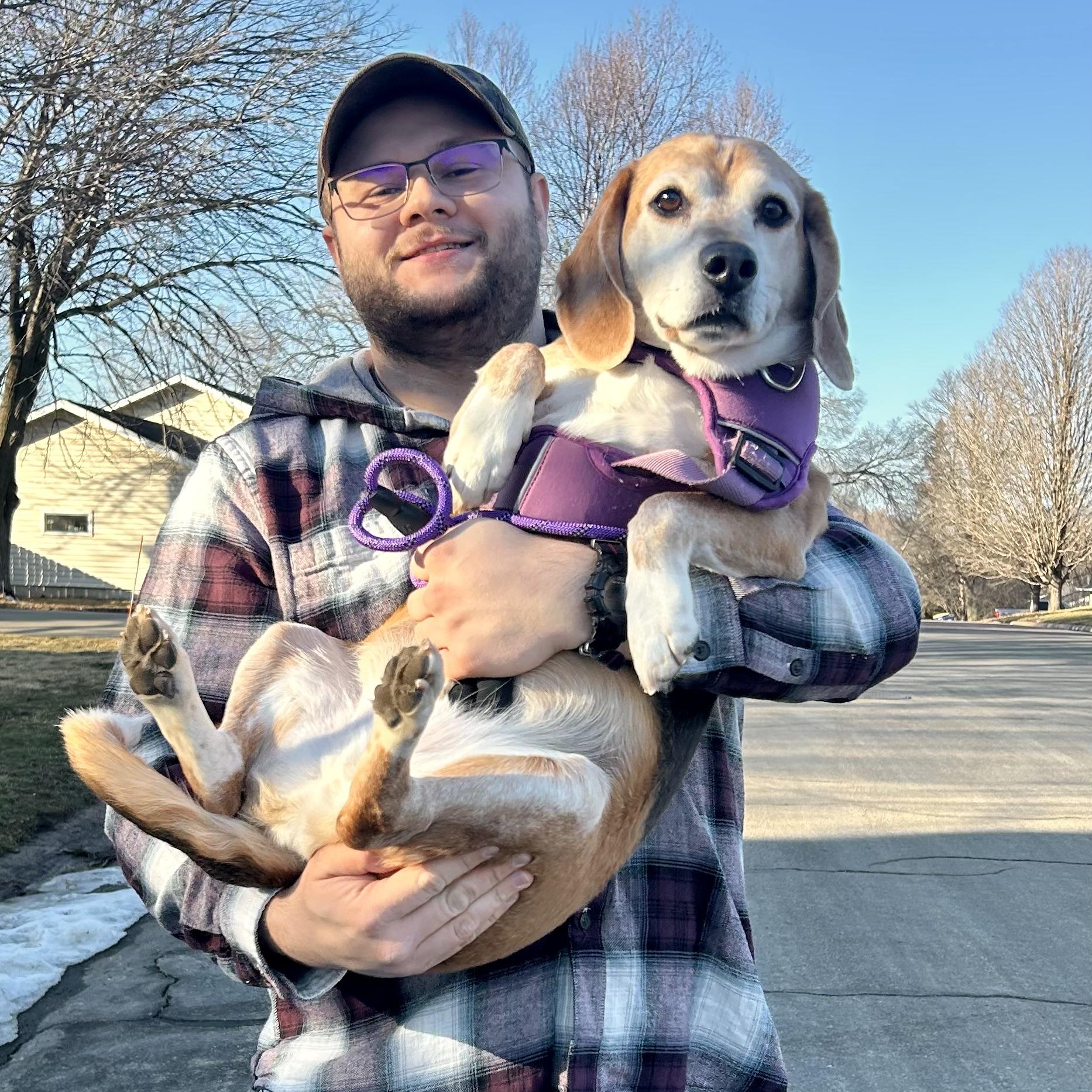 Enlarge Flash, a ADOPTABLE Beagle in St. Paul, MN image 4/5