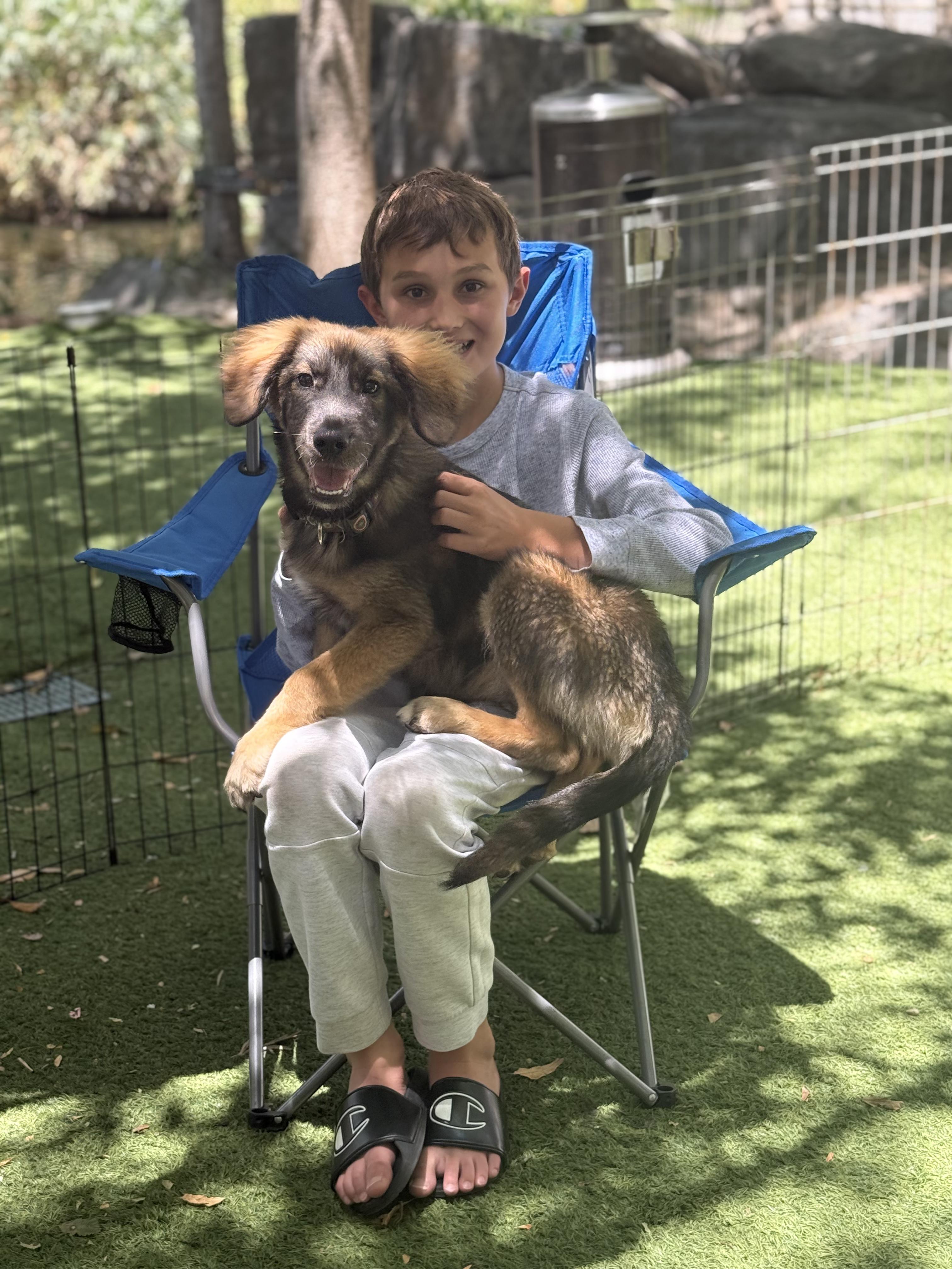 Enlarge Ziggy, an adopted mixed breed in San Diego, CA image 3/5