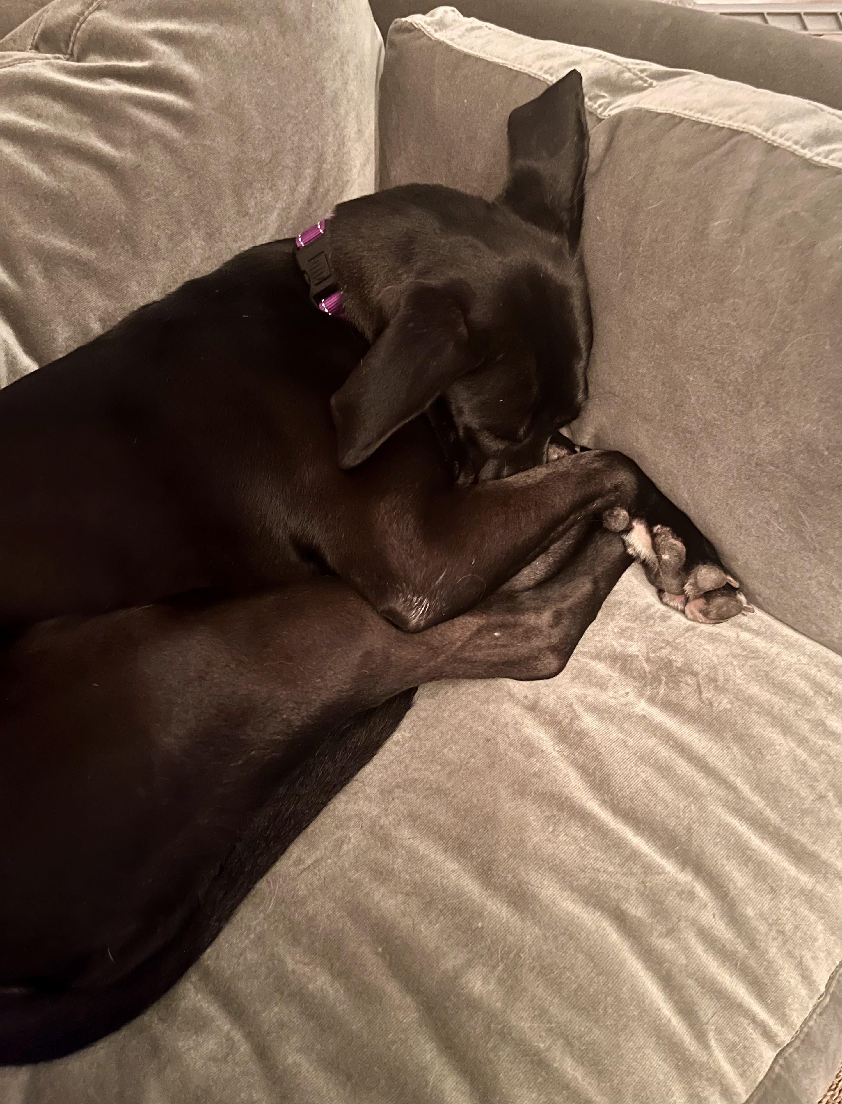 Beatrix photo 6