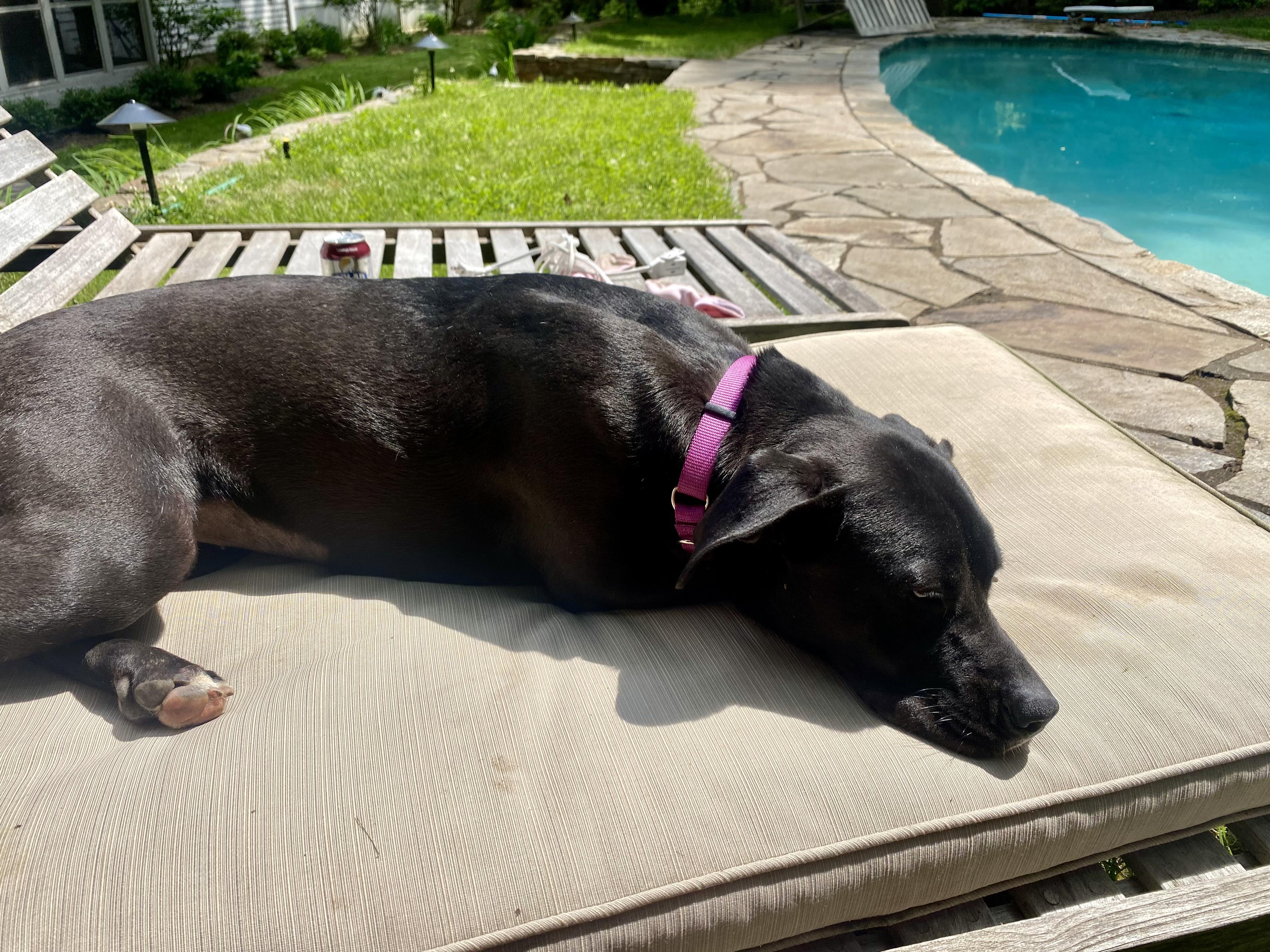Beatrix photo 3