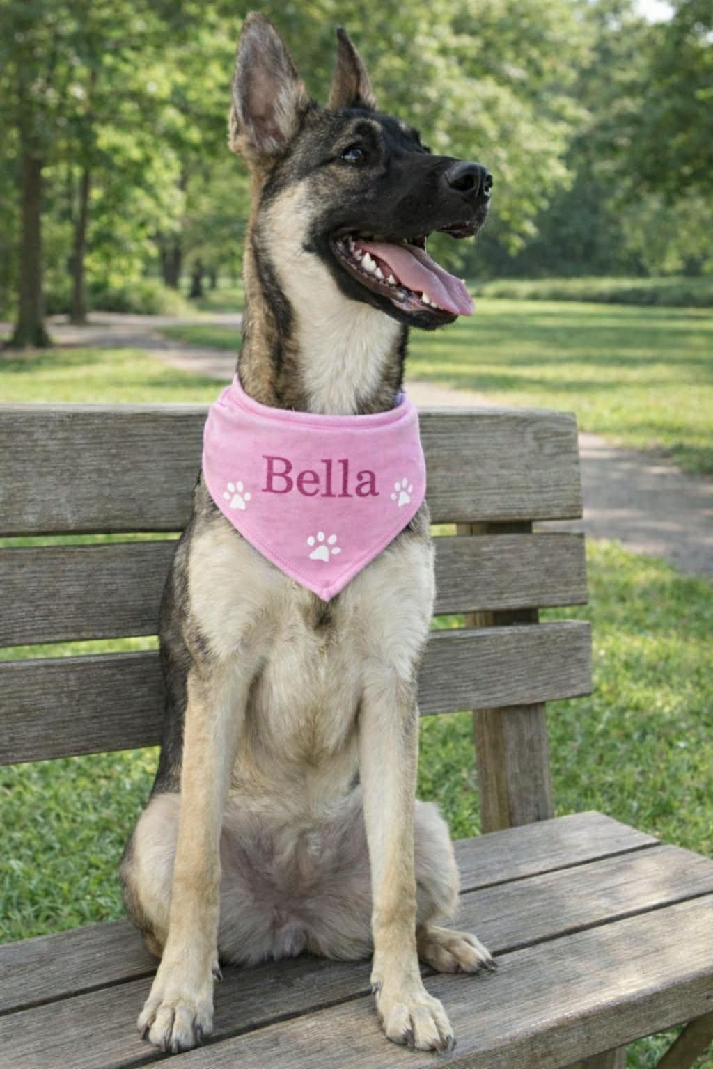 BELLA GS